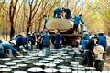 Cổ phiếu ngành Cao su: Triển vọng tích cực đang quay lại?